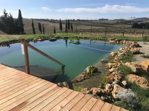 Authentic Tuscan Retreat – Bio Pool & Privacy - Image 4