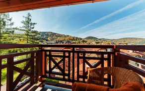 Cud Malina - balcony, air conditioning, fireplace, view - Image 4