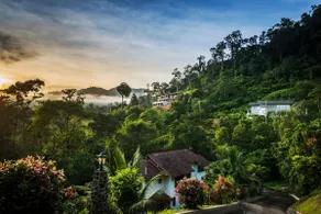 Rest. Pause. Rainforest Retreat - Image 2