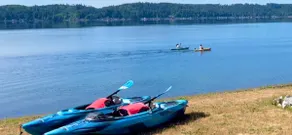 Hood Canal Waterfront House w/ Stunning Views - Image 3