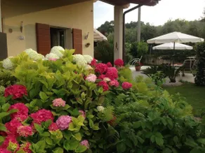 Balay Famiglia: The Perfect Oasis in Lago di Garda - Image 5