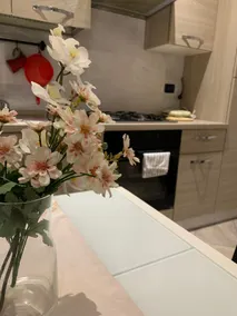 DolceCasa Via Antonio di Vincenzo nr 3 Bologna - Image 5