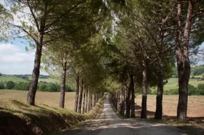 Agriturismo La Pieve - Image 2
