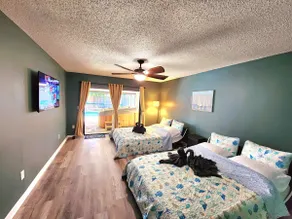 Tampa Vacation Home - 3BR 10 PPL - Pool - Image 5