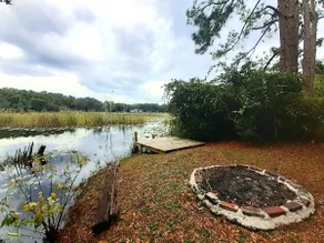 2 miles to Salt Springs | Base camp to the ONF! - Image 3