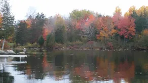 Four-Season Getaway on Upper Cold Stream Pond - Image 4