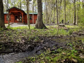 The Cabin at Maple View - Accepting Reservations - Image 2