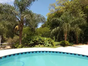 Beautiful farmhouse 44 km from Castelo Branco - Image 2