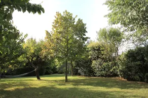 Saint Roch - Image 5