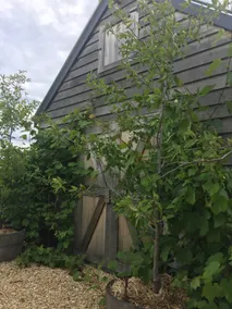 Elm Cottage Barn - Image 4