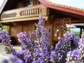Wooden house Brezni - Image 2