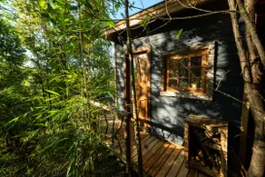 A cozy cabaña in the forest - Image 2