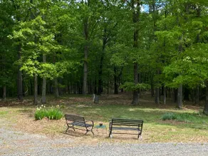 New Every Morning Retreat - The Red Cabin - Image 3