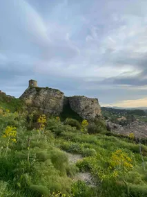 La Ginestra - Image 3