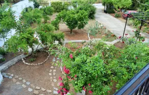 Almiri's House - Image 3