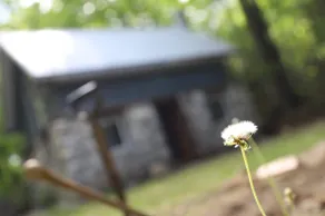Loft style cabin situated on 2.5 acres of woodland - Image 2