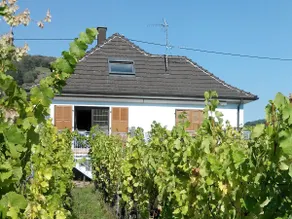 Gite du WEINBAECHLE - Image 3