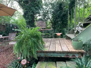 Pet-Friendly Backyard Studio Retreat - Image 5