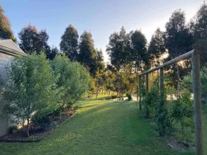 Renovated house on 50 acres 15 mins from Denmark - Image 3
