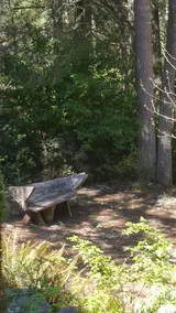 Woodsy Retreat has the trail to the temperate rain forest, and outdoor spa. - Image 2