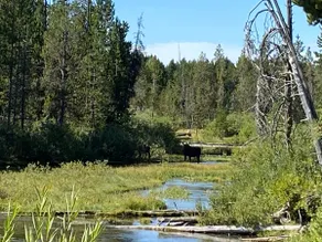 ”Happy Trails” - Image 2