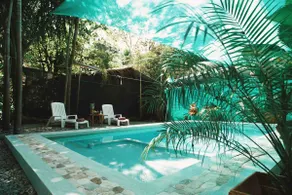 Palm Tree Paradise in the heart of Santa Teresa - Image 2