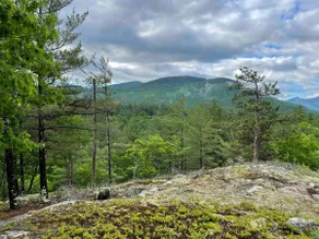 Rocky Point - Image 5