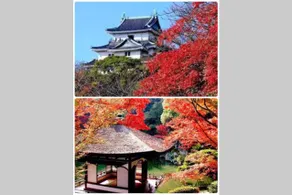 603 Kansai International Airport/Osaka ~ 60 minutes Wakayama Station 15-minute walk, 30 ㎡, free bicycle rental, coin parking, elevator available - Image 2
