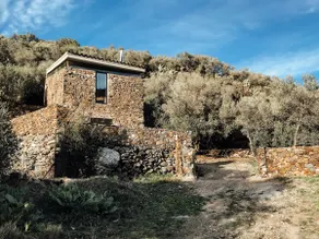 Eco-friendly house surrounded by olive groves 3 km from the sea - Image 2