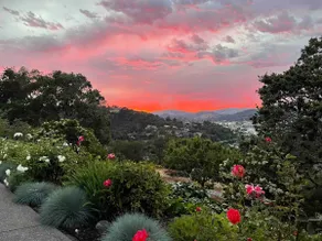 No fees! Private Oasis Btwn SF, Napa. Views + Pool - Image 5