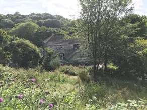 Your luxurious and secluded retreat in Cornwall - Image 5