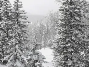 Ski in - Ski Out Condo lige ved Main Lodge !!! - Image 2