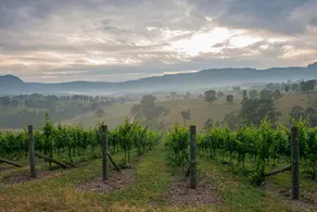 Spectacular vineyard homestead with views!! - Image 3