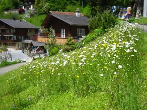 Holiday home Jobin, Brienz - Image 2