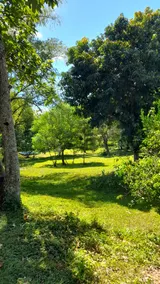Large green spaces without leaving the city - Image 4