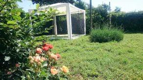 OpenSpace accommodation at Irene's - Image 5