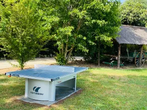 Villa Montplaisir 180m² - Jacuzzi - Image 5