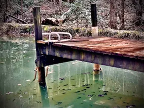 Dahlonega Dock Cabin - Hot Tub/Private Pond&Creek! - Image 5