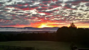 On top of the Kingdom - Image 2