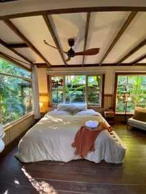 Ananda Eco House - Eco Rainforest Retreat - Image 5