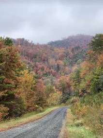 Our Peaceful Mountain Retreat: The Crow’s Nest - Image 3