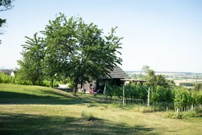 Weingarten Lodge - Image 3