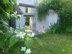 Pleasure only at home ! - Image 3