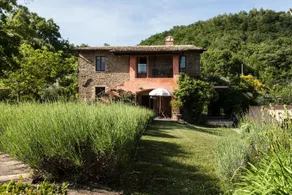 Garden facing apartment in the Assisi countryside - Image 3