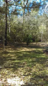 Retreat/ATV Trail, Events,Dance Floor,Large Groups - Image 5