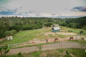 Monsamkien Farmstay - Image 4