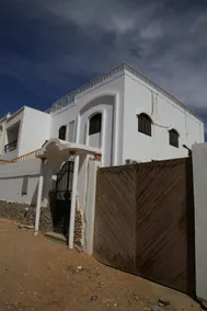 Dahab Lotus - Image 3