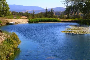 CA dreaming in Wine Country! - Image 4