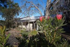 Dolphin Sands Beach Studio - Image 2