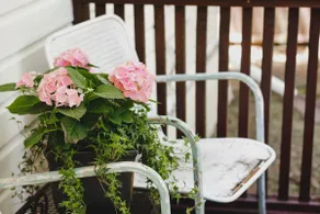 Birdie's Cottage in Historic McKinney - Image 3